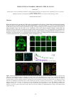 Научная статья на тему 'TISSUE OPTICAL CLEARING: FROM IN VITRO TO IN VIVO'