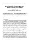 Научная статья на тему 'Topological damping of Aharonov-Bohm effect: quantum graphs and vertex conditions'