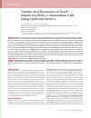 Научная статья на тему 'Transfer and expression of small interfering RNAs in mammalian cells using lentiviral vectors'