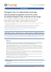 Научная статья на тему 'TRANSGENIC MICE CRE-DEPENDENTLY EXPRESSING MUTANT POLYMERASEGAMMA: NOVEL TEST-SYSTEM FOR PHARMACOLOGICAL STUDY OF MITOPROTECTIVE DRUGS'