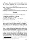 Научная статья на тему 'Уникальное сообщество куликов на севере Западной Сибири'