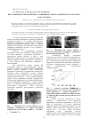 Научная статья на тему 'ВЧ-плазменная нанополировка и финишная очистка поверхности металлов и их сплавов'