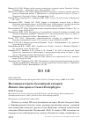 Научная статья на тему 'Весенняя встреча белощёкой казарки Branta leucopsis в Санкт-Петербурге'