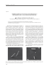 Научная статья на тему 'Влияние дефектов структуры на механизмы роста нитевидных кристаллов и микроизделий из них'