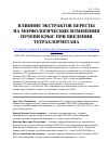 Научная статья на тему 'Влияние экстрактов бересты на морфологические изменения печени крыс при введении тетрахлорметана'