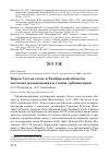 Научная статья на тему 'Ворон Corvus corax в Тамбовской области: Экология размножения и темпы урбанизации'