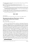 Научная статья на тему 'Возвращение фазана Phasianus colchicus в предгорья Таласского Алатау'