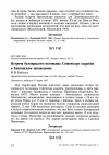 Научная статья на тему 'Встреча белокрылого погоныша Coturnicops exquisita в Хинганском заповеднике'