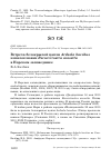 Научная статья на тему 'Встреча белокрылой цапли Ardeola bacchus и шилоклювки Recurvirostra avosetta в Норском заповеднике'