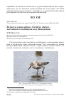 Научная статья на тему 'Встреча чернозобика Calidris alpina - частичного альбиноса под Магаданом'