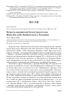 Научная статья на тему 'Встреча индийской белой трясогузки Motacilla alba dukhunensis в Чувашии'