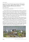 Научная статья на тему 'Встреча кулика-сороки Haematopus ostralegus в городе Острове (псковская область)'