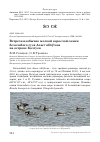 Научная статья на тему 'Встреча необычно мелкой взрослой самки белолобого гуся Anser albifrons на острове Колгуев'