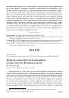 Научная статья на тему 'Встреча савки Oxyura leucocephala в окрестностях Петропавловска'