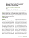 Научная статья на тему 'ZAD-domain is essential for nuclear localization of insulator proteins in Drosophila melanogaster'