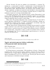 Научная статья на тему 'Залёт жёлтой цапли Ardea ralloides в Наурзумский заповедник'