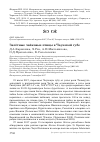 Научная статья на тему 'Залётные чайковые птицы в Чаунской губе'