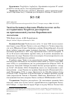 Научная статья на тему 'Залёты большого баклана Phalacrocorax carbo и стервятника Neophron percnopterus на причановский участок Барабинской лесостепи'