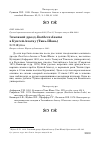 Научная статья на тему 'Земляной дрозд Zoothera dauma в Кунгей-Алатау (Тянь-Шань)'