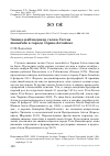 Научная статья на тему 'Зимнее наблюдение галки Corvus monedula в городе Горно-Алтайске'