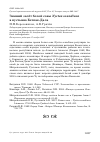 Научная статья на тему 'Зимний залёт белой совы Nyctea scandiaca в пустыню Бетпак-Дала'