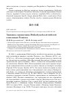 Научная статья на тему 'Зимовка серпоклюва Ibidorhyncha struthersii в низовьях Тентека'